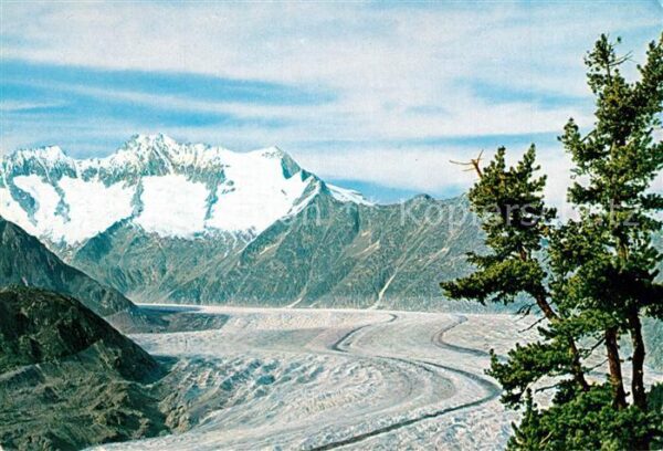 Gletscher Aletschgletscher Walliser Fiescherhörne