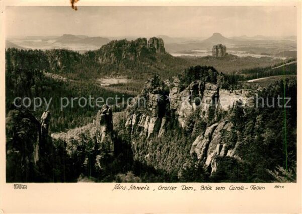Foto Hahn Nr. 8510 Sächsische Schweiz Grosser Dom