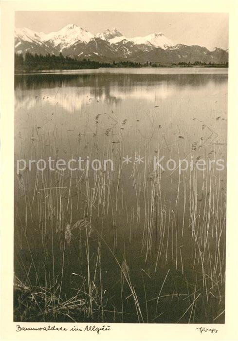 Foto Popp Nr. Bannwaldsee Allgäu