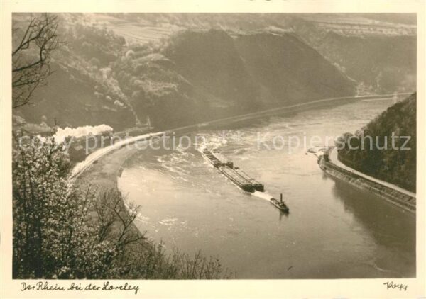 Foto Popp Nr. Rhein Loreley