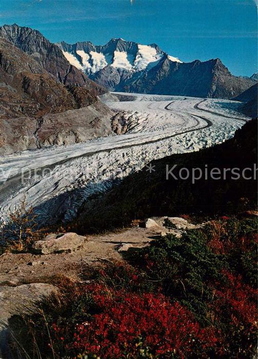 Gletscher Aletschgletscher Wannenhorn