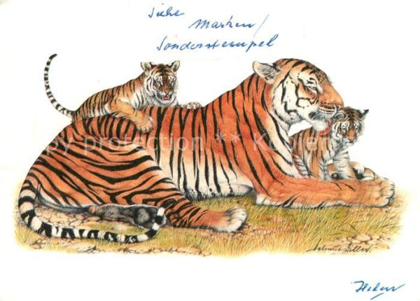 Tiger Tiere WWF-Sonderstempel Heissluftballon