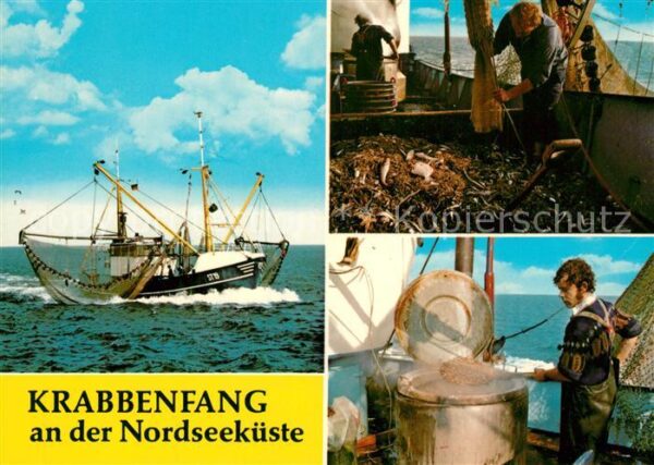 Fischerei Krabbenfang Nordseeküste