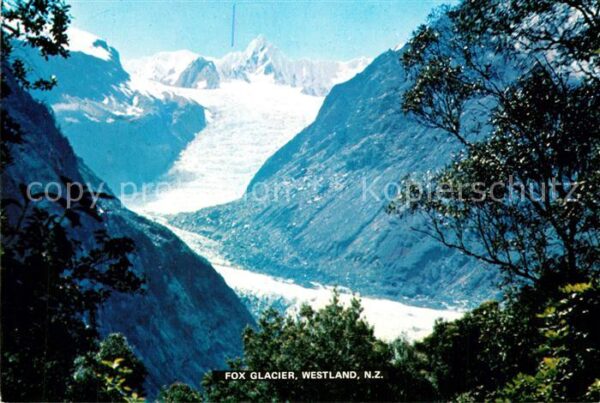 Gletscher Fox Glacier Westland New Zealand