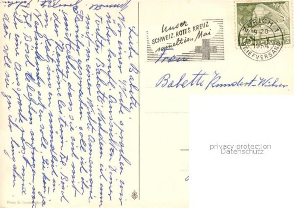 Schafe Hirtenbub – Bild 2