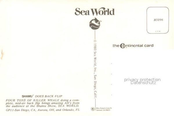 Wal Killer Whale Shamu Show Sea World San D – Bild 2