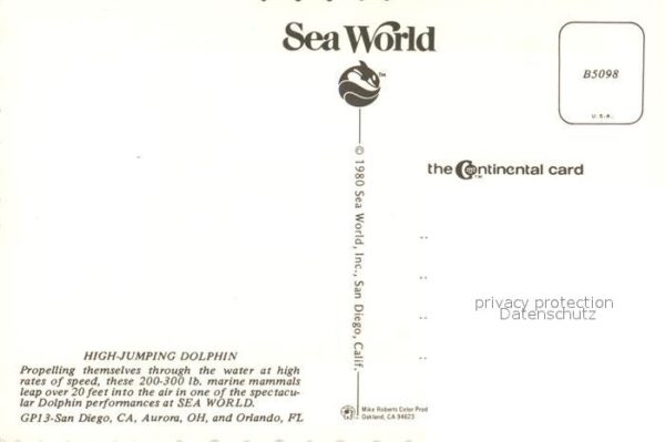 Delfine Delphine Dolphins Dauphins Delfi High Jumping Dolphin Sea World San Dieg – Bild 2