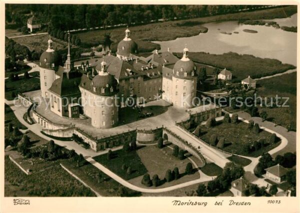 Foto Hahn Nr. 10073 Moritzburg Dresden