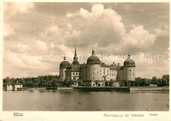 Foto Hahn Nr. 10995 Moritzburg Dresden