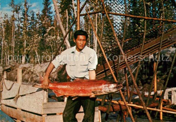 Fische King Salmon Fish Wheel Fishing Indian