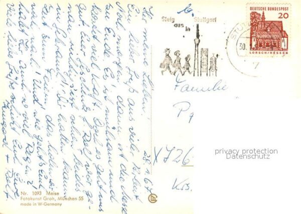 Voegel – Bild 2