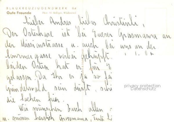 Kuehe Blaukreuzjugendwerk – Bild 2