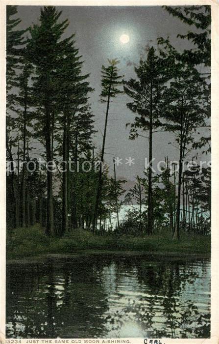Wrangell Alaska Landschaftspanorama im Mondschein