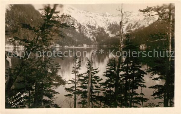 Wrangell Alaska Inside Passage Scene Landschaftspanoram