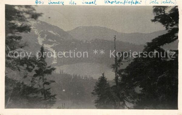 Wrangell Alaska Landschaftspanorama einer Insel