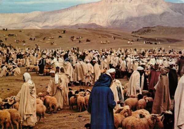 Maroc Marokko Typique Marché aux bestiaux Viehmarkt