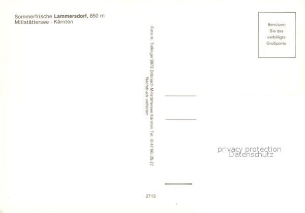 Lammersdorf Millstaetter See Sommerfrische Alpenpanorama Fliegeraufn – Bild 2