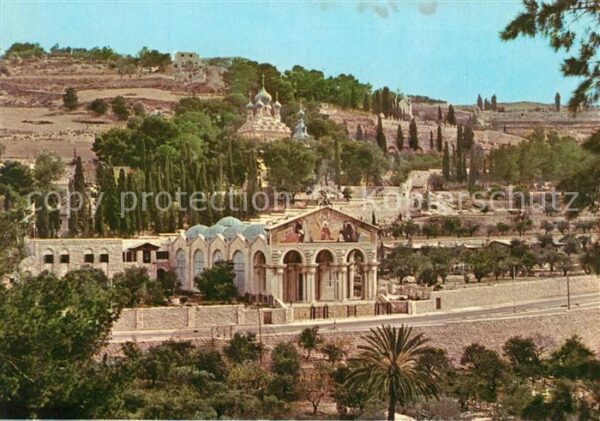 Jerusalem Yerushalayim Old City Basilica and Gardens of Gethse
