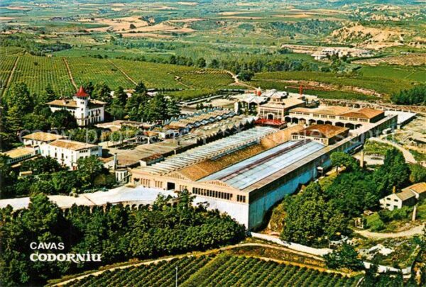 Sant Sadurni d Anoia Cavas Codorniu Exteriores vista aérea