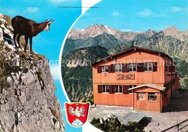 Pfronten Gemse am Breitenberg Ostlerhütte Gaisho