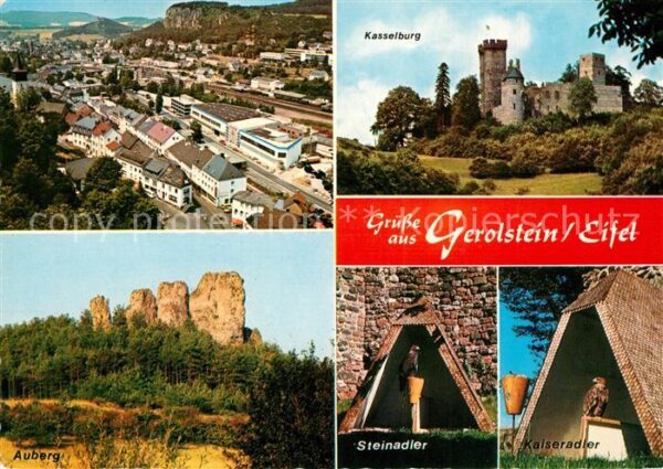 Gerolstein Kasselberg Steinadler Kaiseradler Auber
