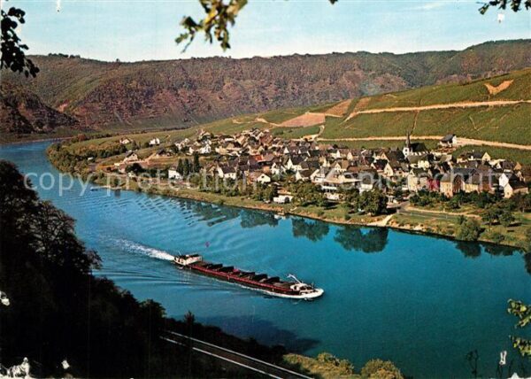 Mesenich Cochem Moselpartie