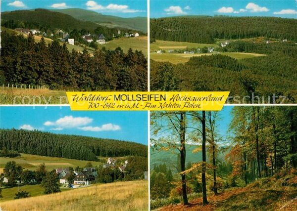 Mollseifen im Hochsauerland Kahler Asten
