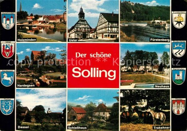 Holzminden Weser Uslar Fürstenberg Neuhaus Trakehner Sch