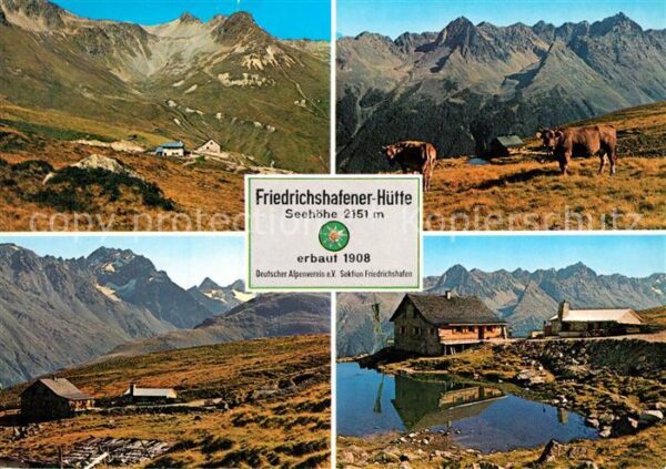Galtuer Tirol Friedrichshafener-Hütte  Kühe