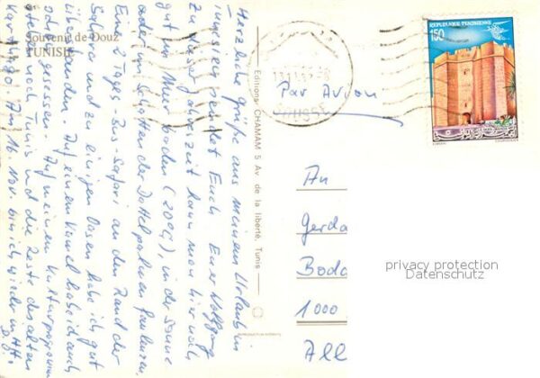 Douz Camele in der Oase – Bild 2