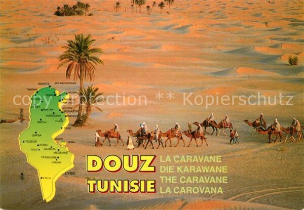 Douz Camelkarawane in der Wüste