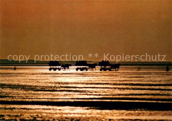 Cuxhaven Doese Nordseebad Duhnen und Waldbad Sahlenburg Wattwagen