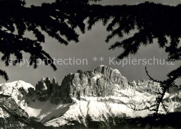 Bozen Suedtirol Il Catinaccio