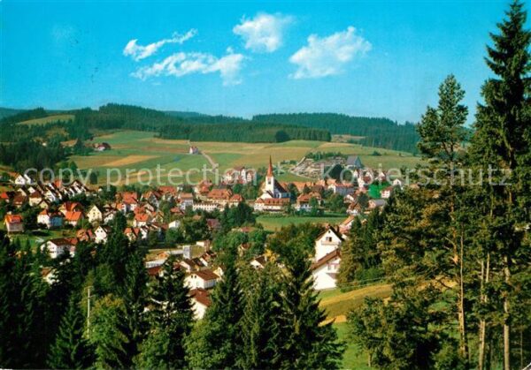 Schonach Schwarzwald Panorama