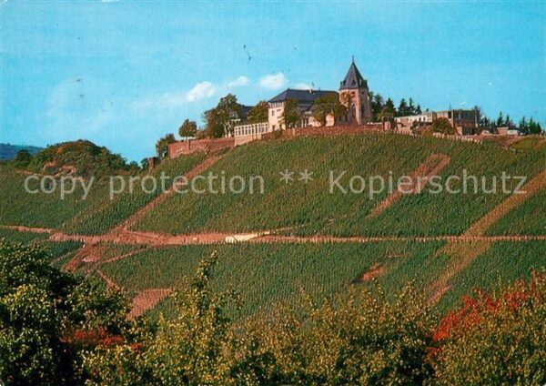 Bullay Mosel Jugendbildungsstätte Marienburg