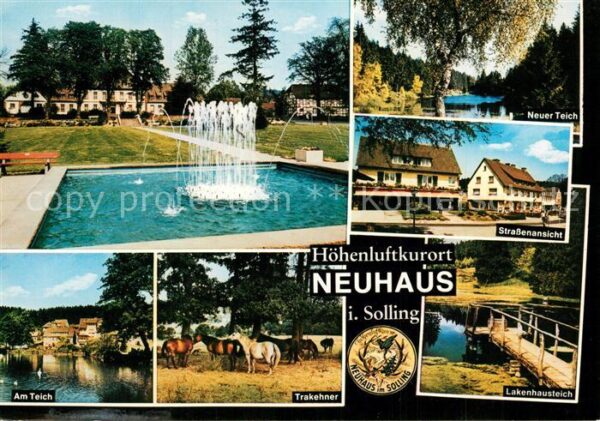 Neuhaus Solling Schlossanlagen Teich Strasse Trakehner