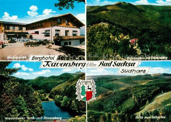 Bad Sachsa Harz Berghotel Ravensberg Hausansicht Katzen
