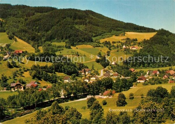 Simonswald Panorama