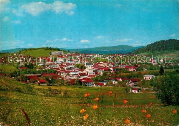 Grafenau Niederbayern Panorama