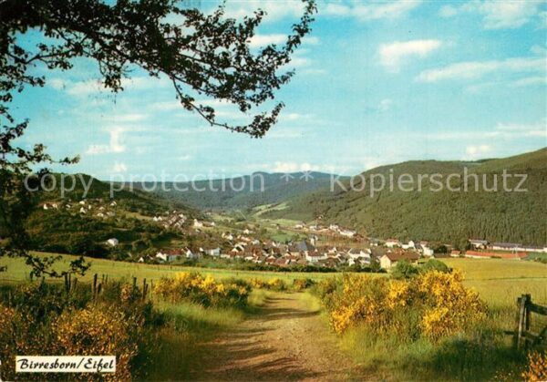Birresborn Panorama