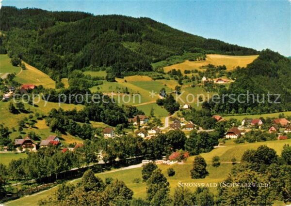 Simonswald Panorama
