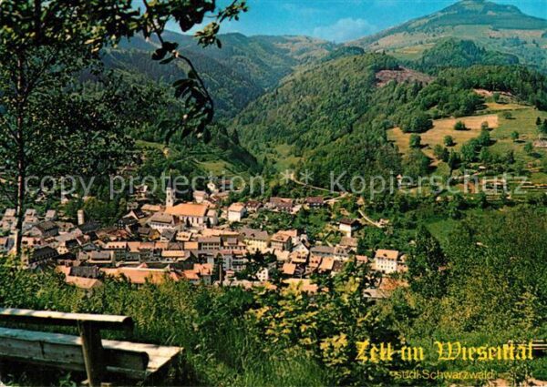 Zell Wiesental Panorama