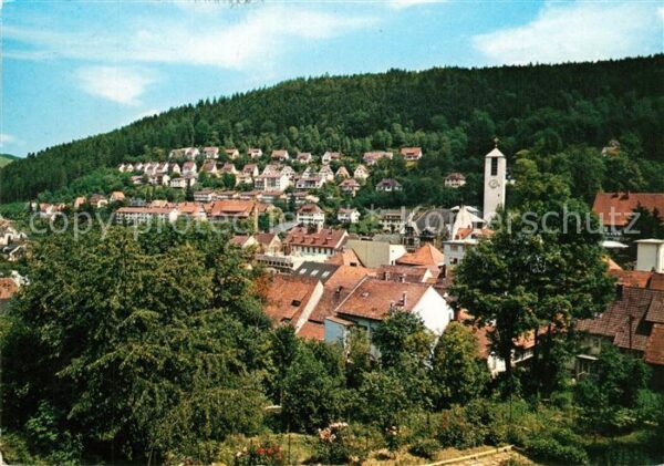 Triberg Schwarzwald Panorama