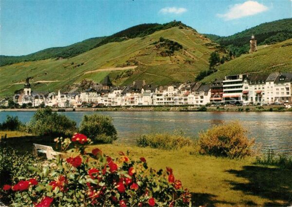 Zell Mosel Panorama