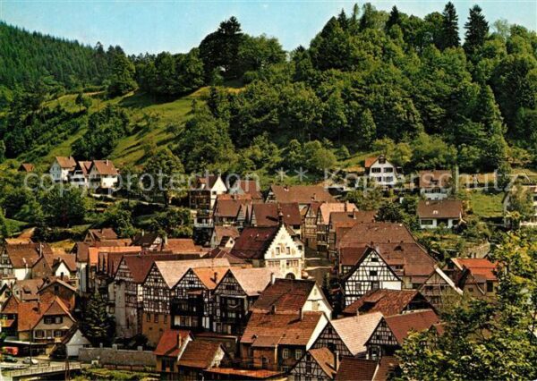 Schiltach Stadtpanorama