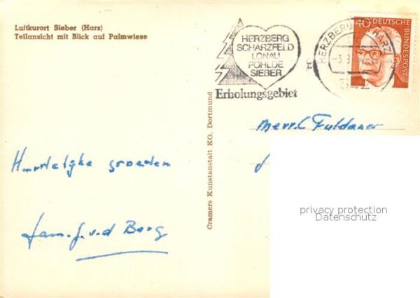 Sieber Palmwiese – Bild 2