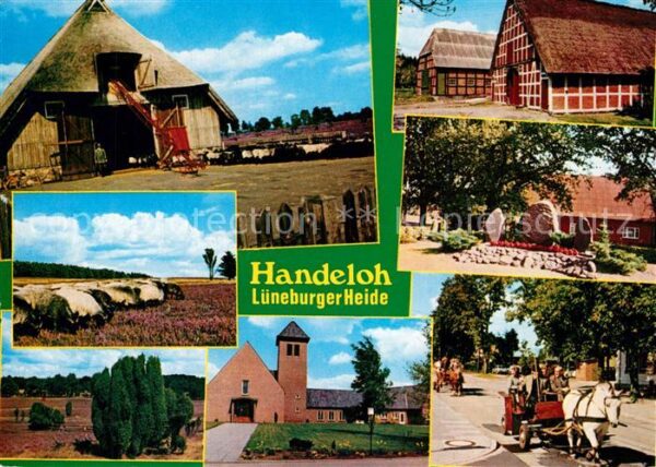Handeloh Schafherde Pferdekutsche