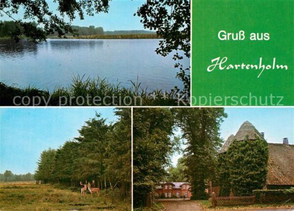 Hartenholm Panoramen