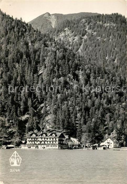 Plansee Hotel Forelle