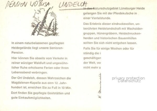 Undeloh Pension Wobusa – Bild 2
